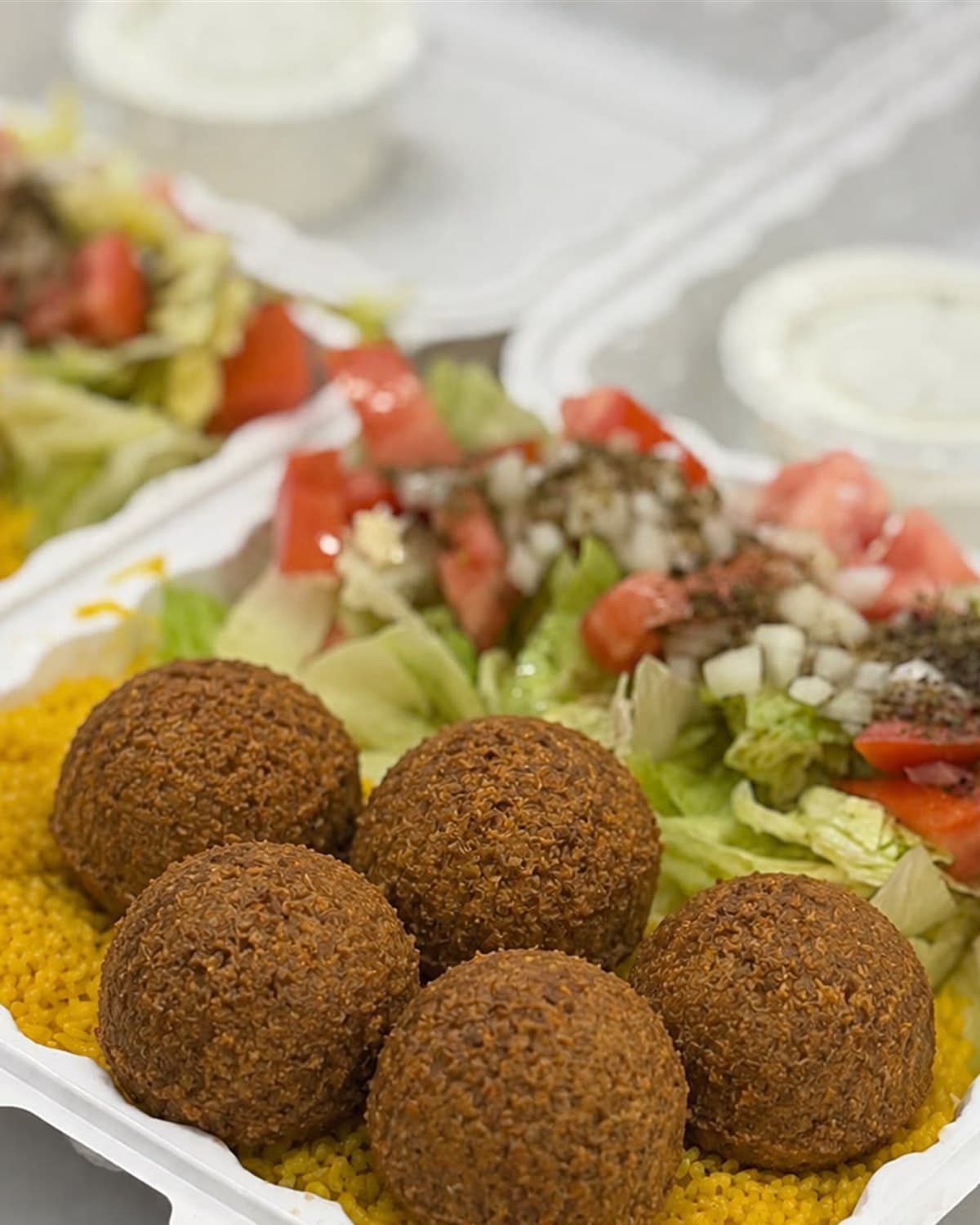 Fresh Gyro Shop Dining platter with gyro meat, falafel, pita, and salad