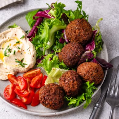 Falafel Platter at Gyro Shop Dining